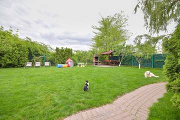 Фото номера Дом с 1 спальней Дома для отпуска Happy Place - Casuta Galbena г. Domneşti 28
